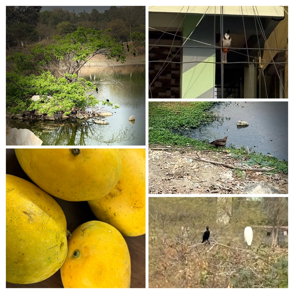 GIF uploaded by Daily-journey