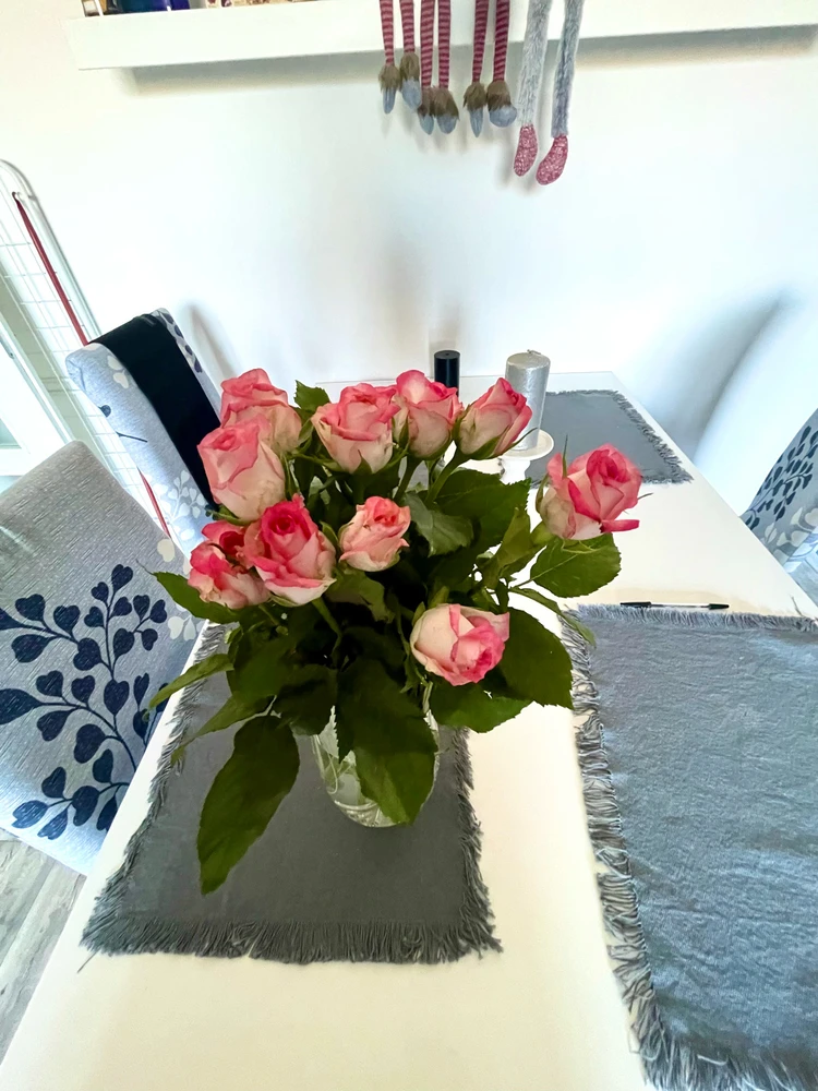 Obrázek nahrál Ellen