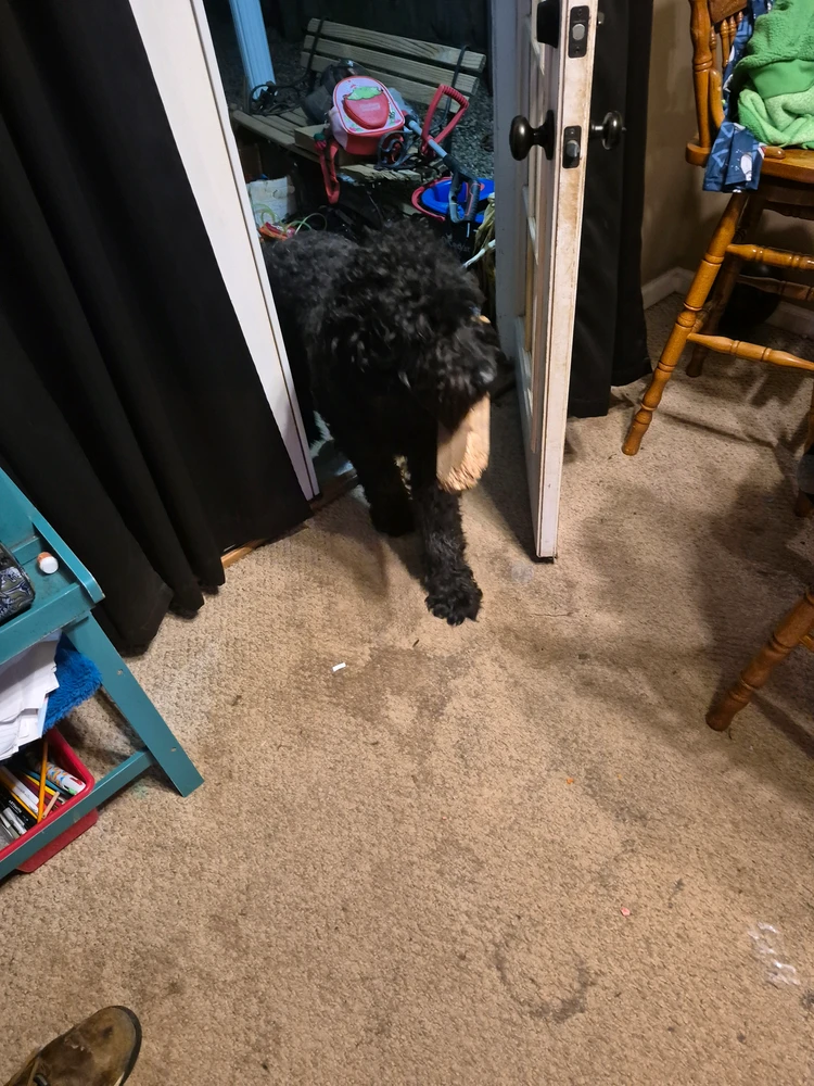 Image uploaded by Alex