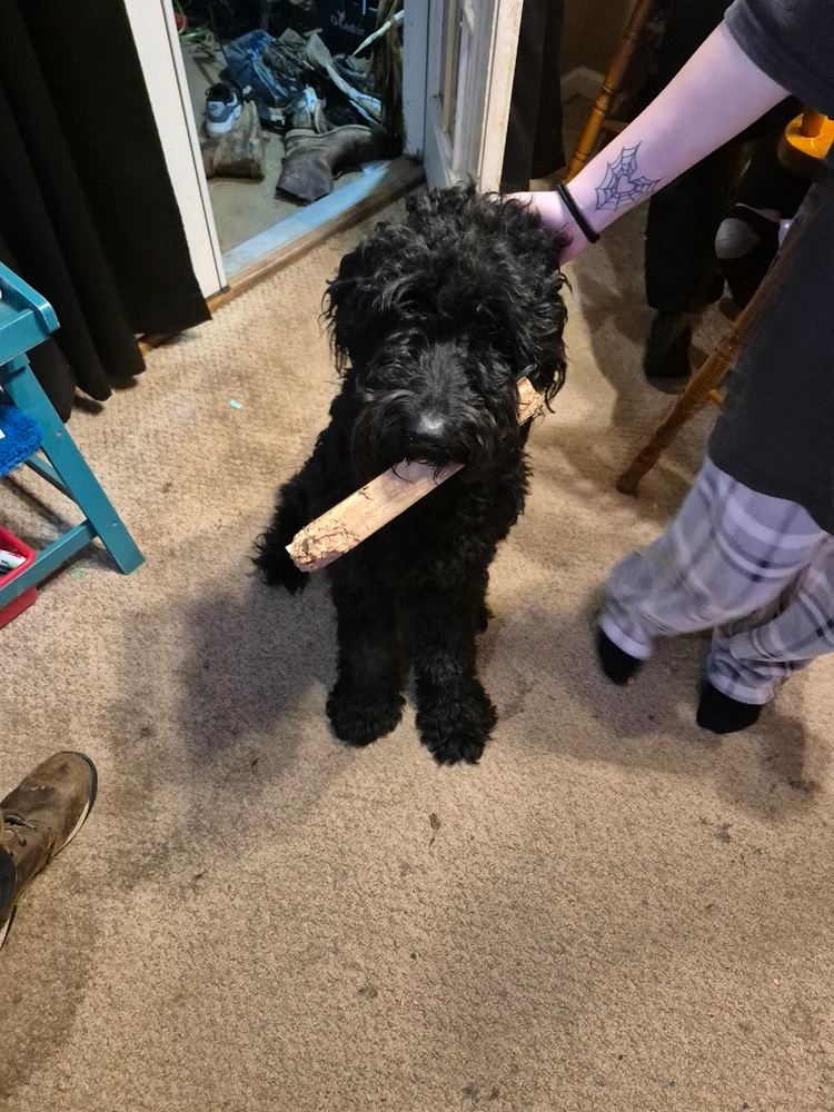 Image uploaded by Alex