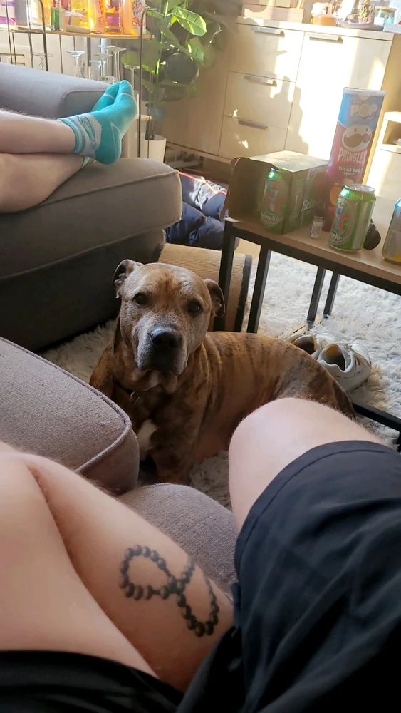 Image uploaded by James