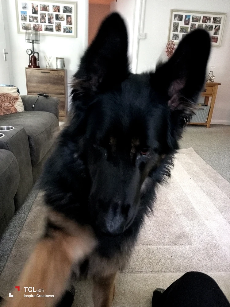 Image uploaded by James