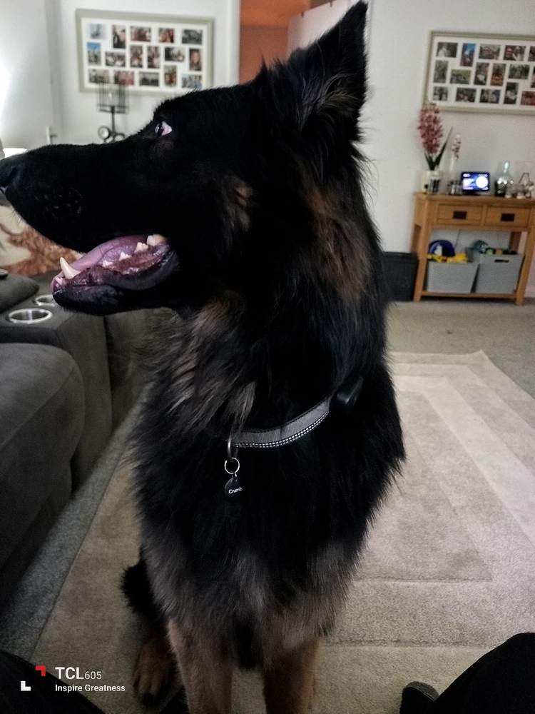 Image uploaded by James