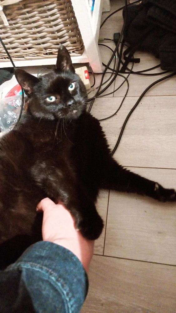 Image uploaded by James