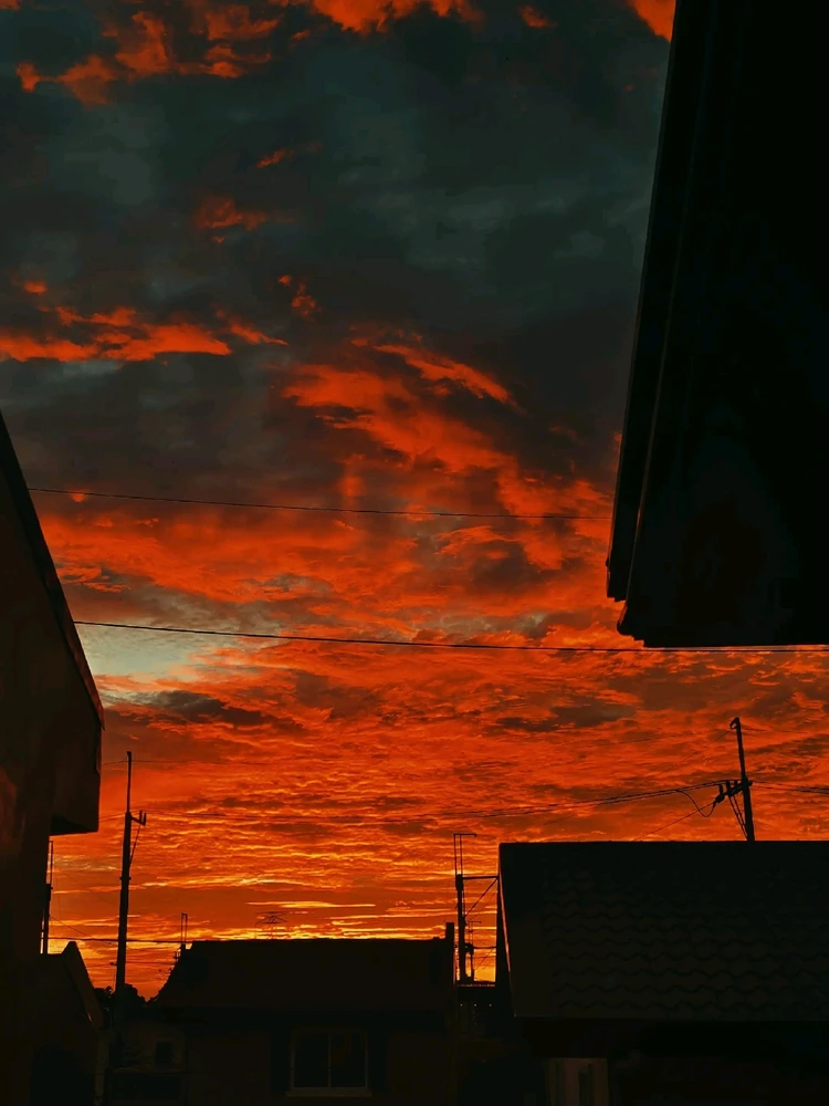 GIF uploaded by Giselle