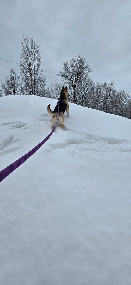 Image uploaded by Ashley