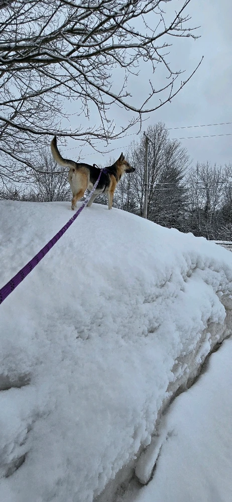 Image uploaded by Ashley