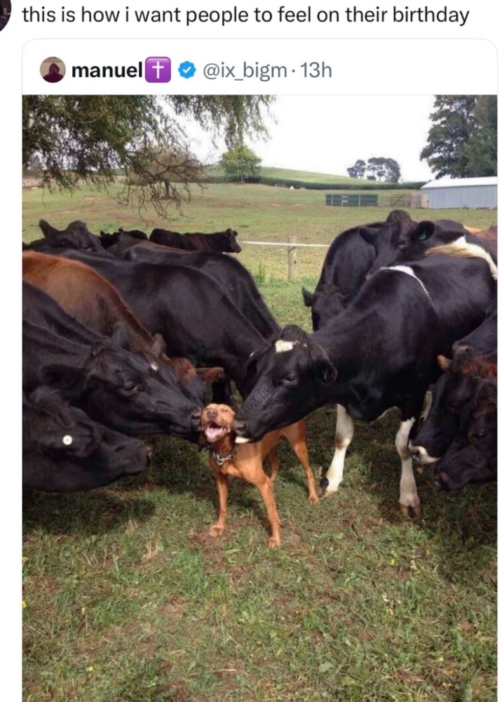 GIF yakaiswa naKatie