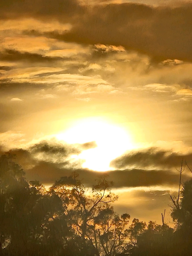 GIF uploaded by Mitchell