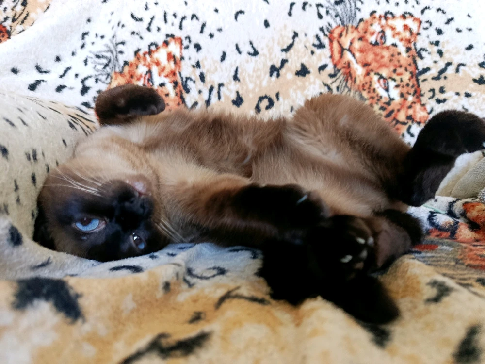 GIF uploaded by Erick