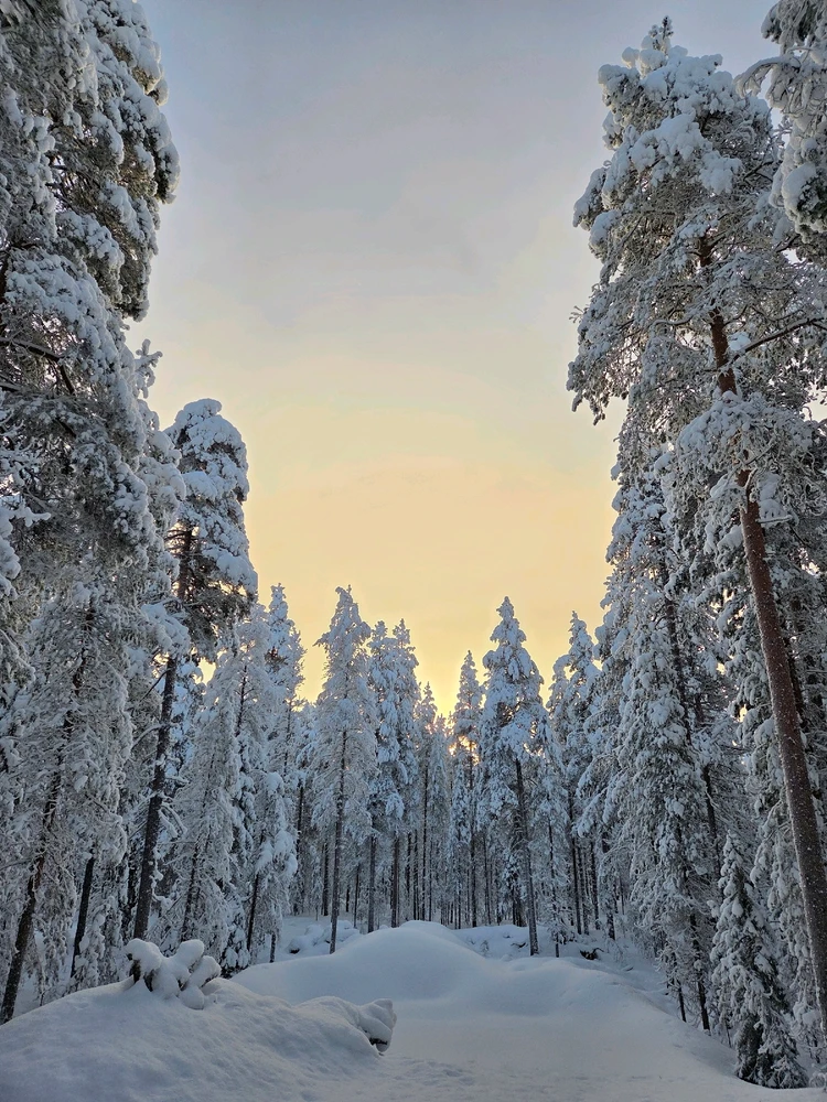 GIF uploaded by Aurora