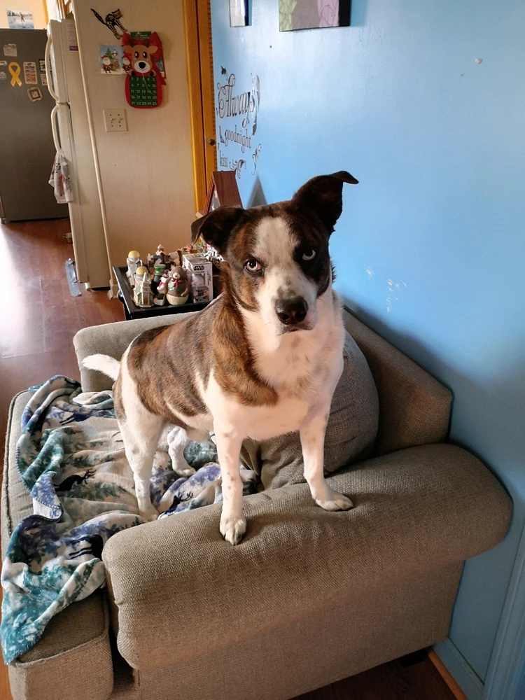 GIF uploaded by April