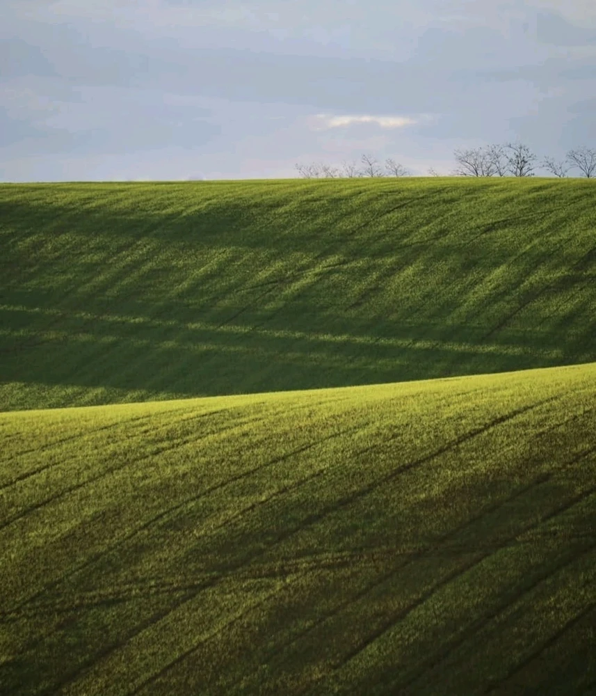 GIF uploaded by Marcos