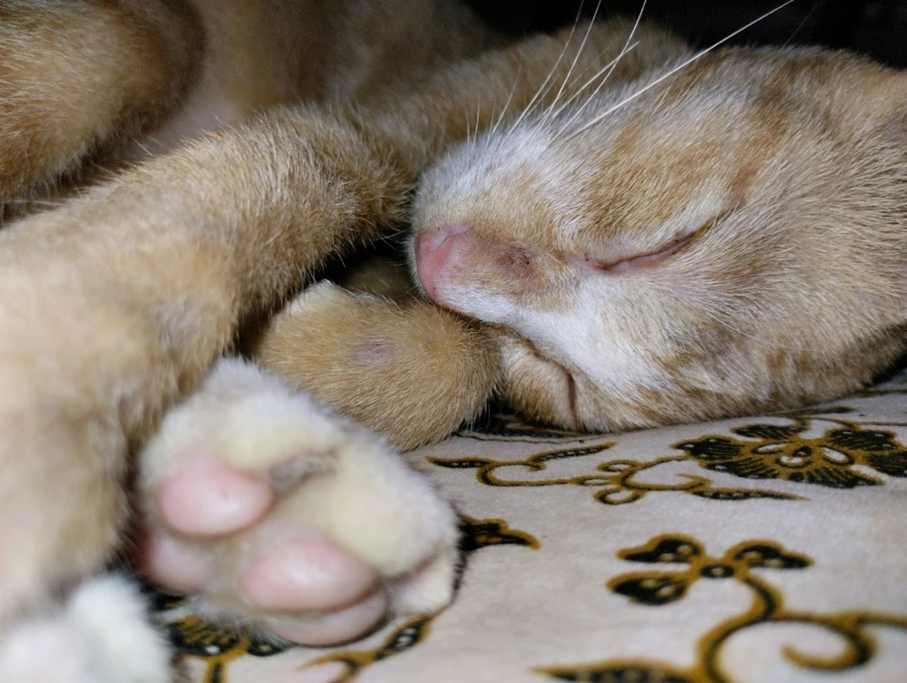 GIF uploaded by Hana