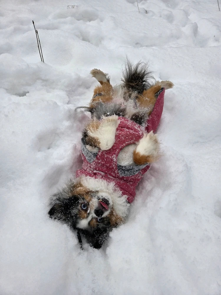 GIF uploaded by Aurora