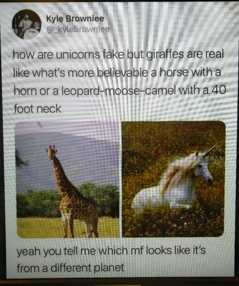 GIF uploaded by Martin