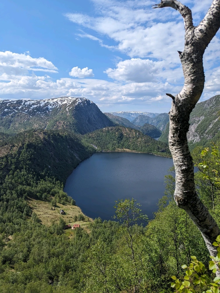 Image uploaded by Martin