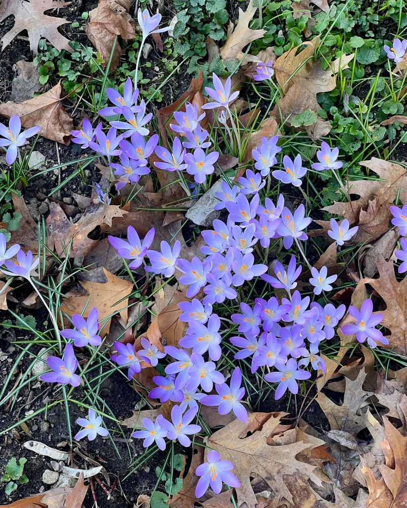 Гіфку завантажив Elena