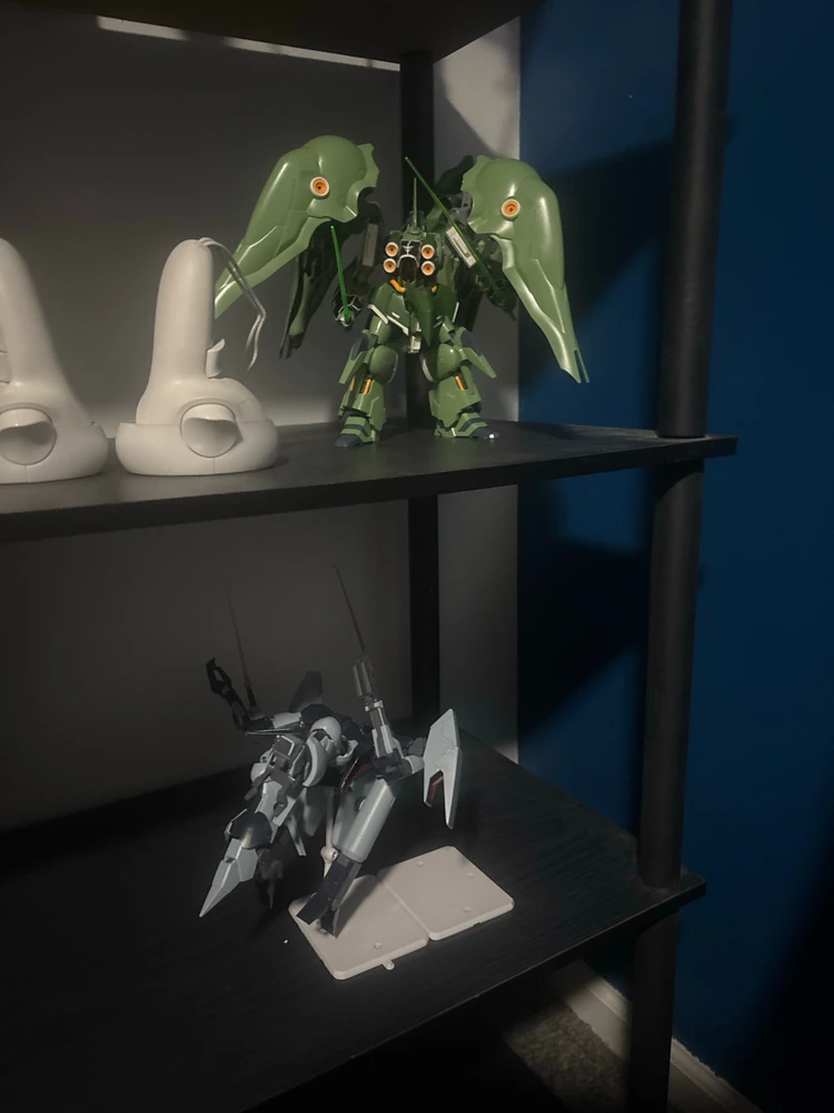 Image uploaded by Tyler