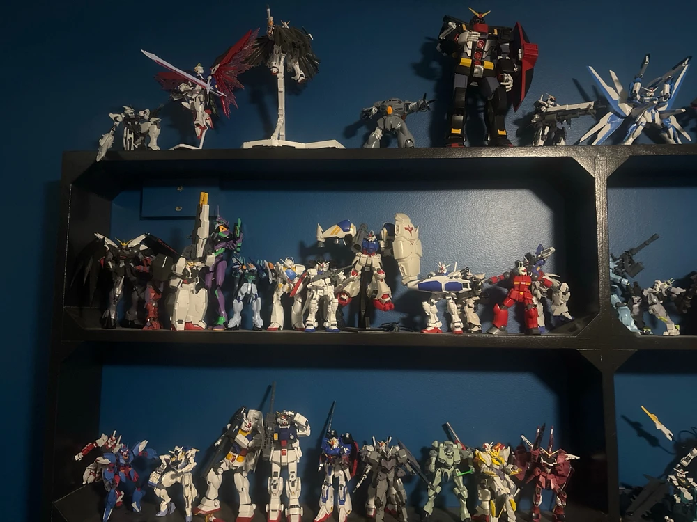 Image uploaded by Tyler