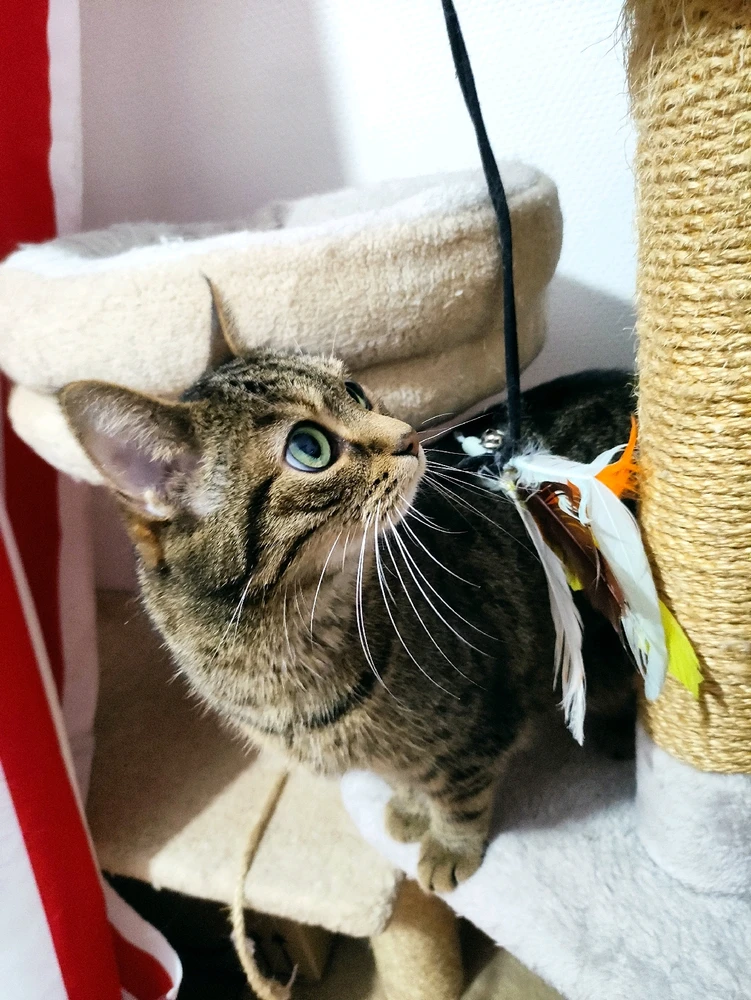 Image uploaded by Nathalie