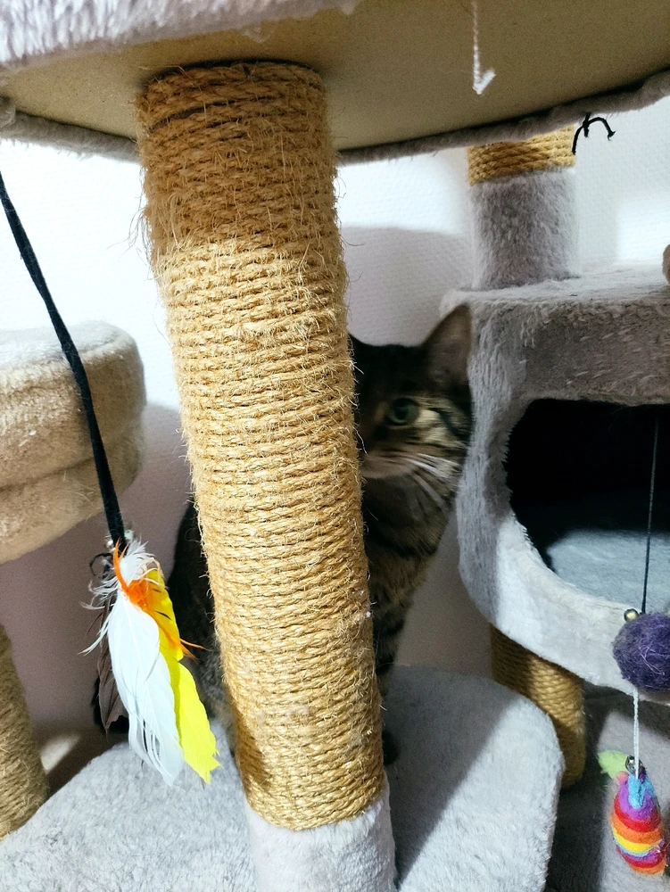 Image uploaded by Nathalie