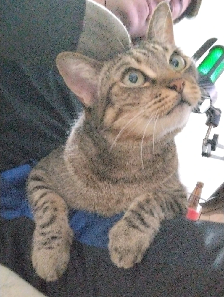 GIF enviado por Luke