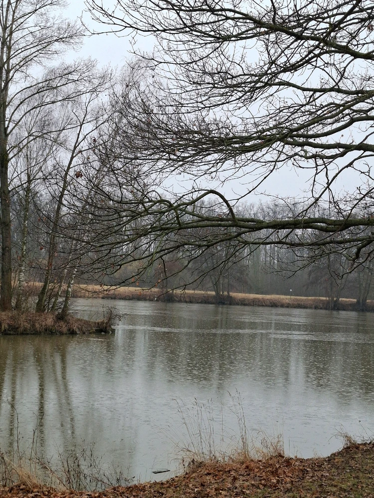 Obrázek nahrál ©️Iva 🦉