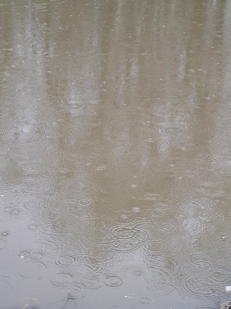 Obrázek nahrál ©️Iva 🦉