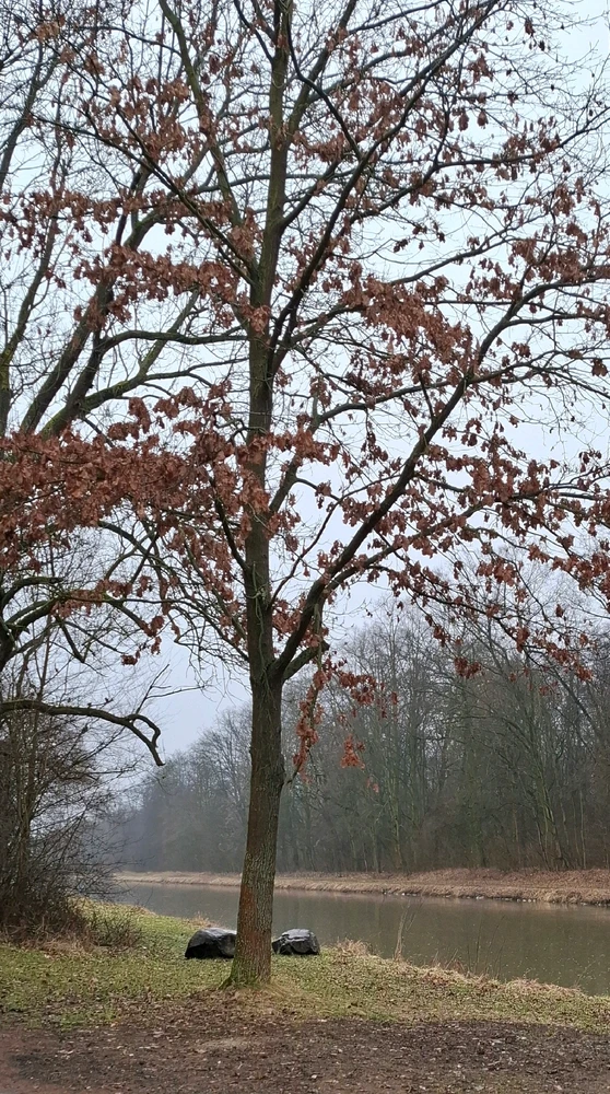 Obrázek nahrál ©️Iva 🦉