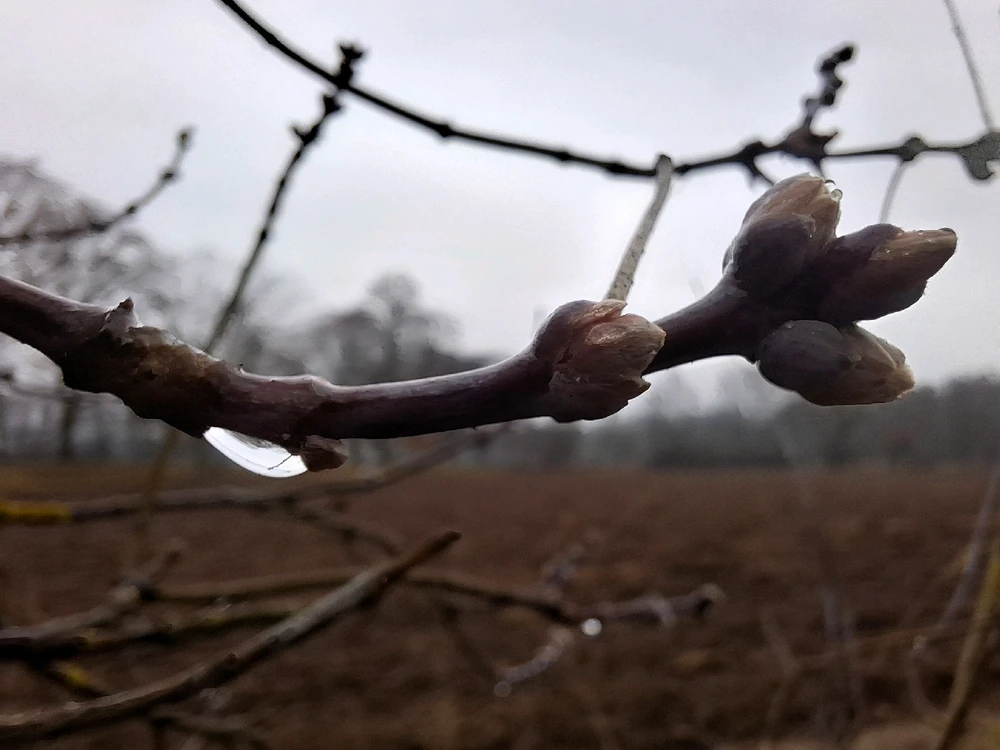 Obrázek nahrál ©️Iva 🦉