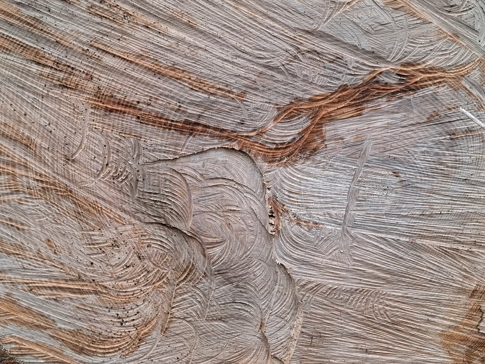 Obrázek nahrál ©️Iva 🦉