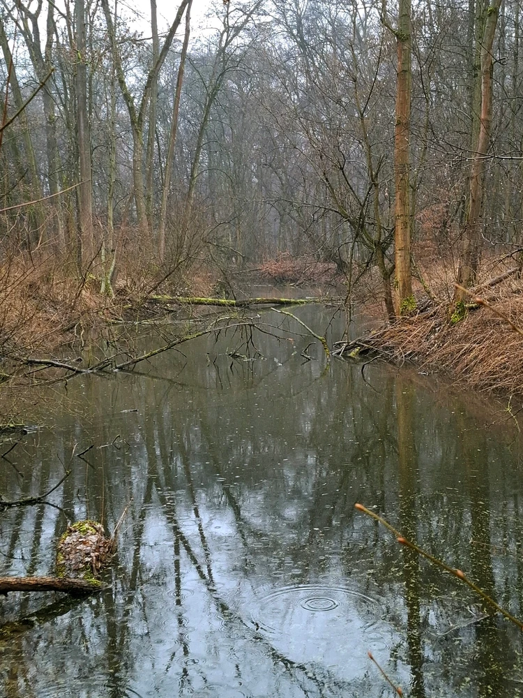 Obrázek nahrál ©️Iva 🦉