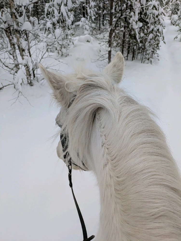 GIF-tiedoston lisäsi Sari