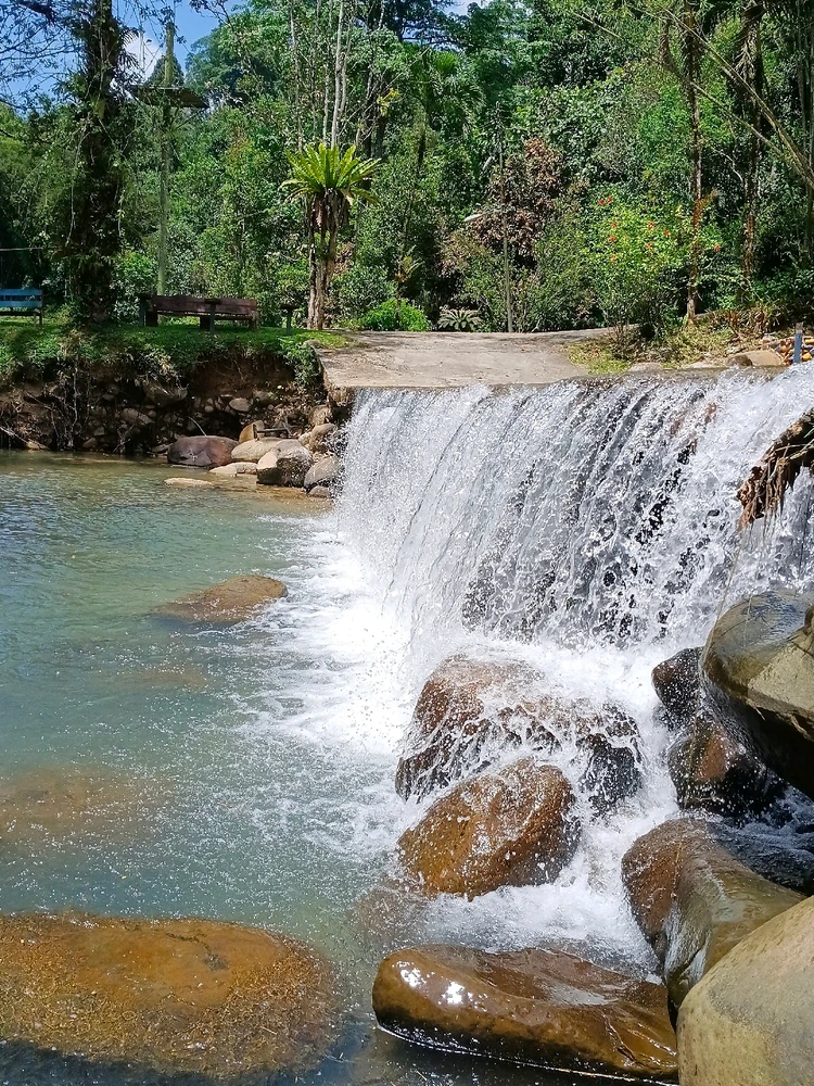 Image uploaded by Shay