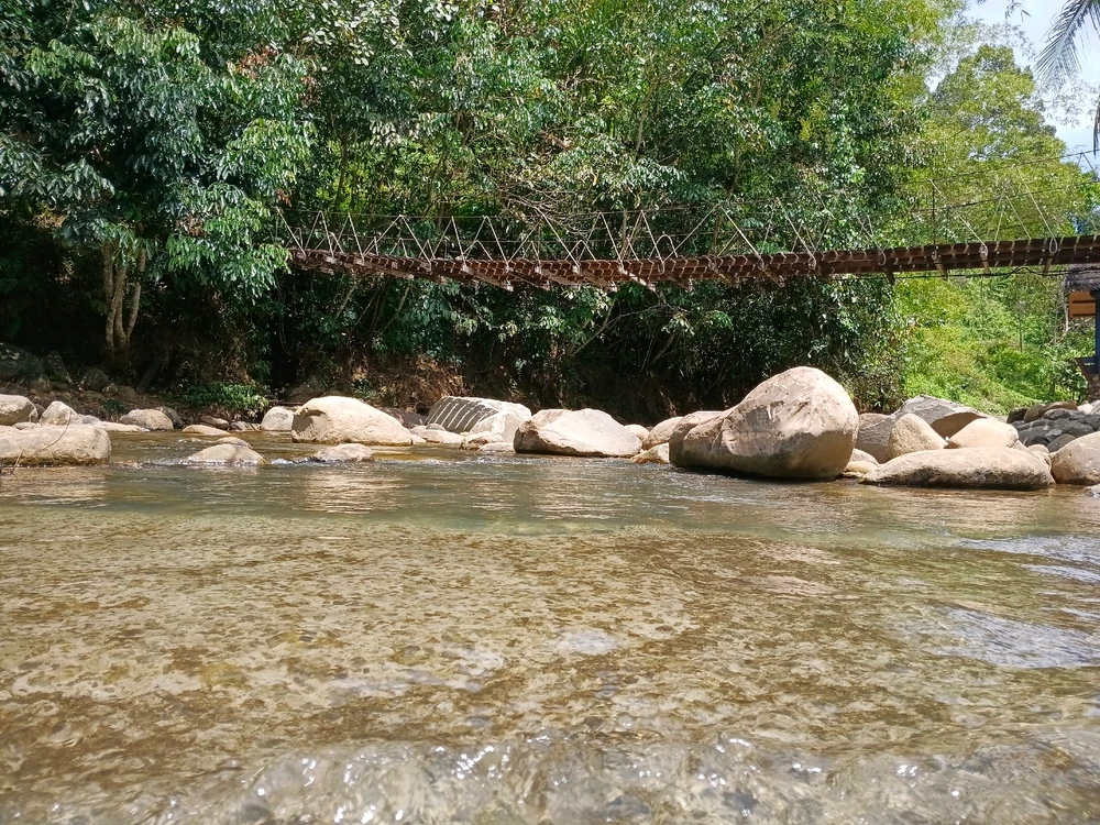 Image uploaded by Shay