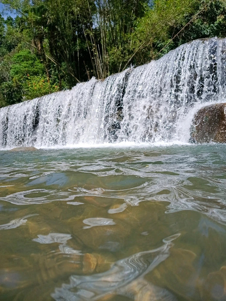 Image uploaded by Shay