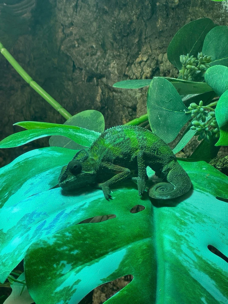 Bild hochgeladen von Marcel