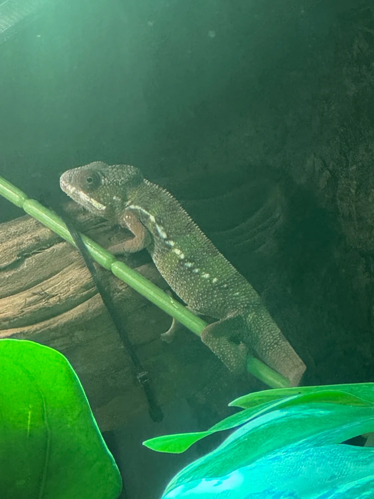 Bild hochgeladen von Marcel