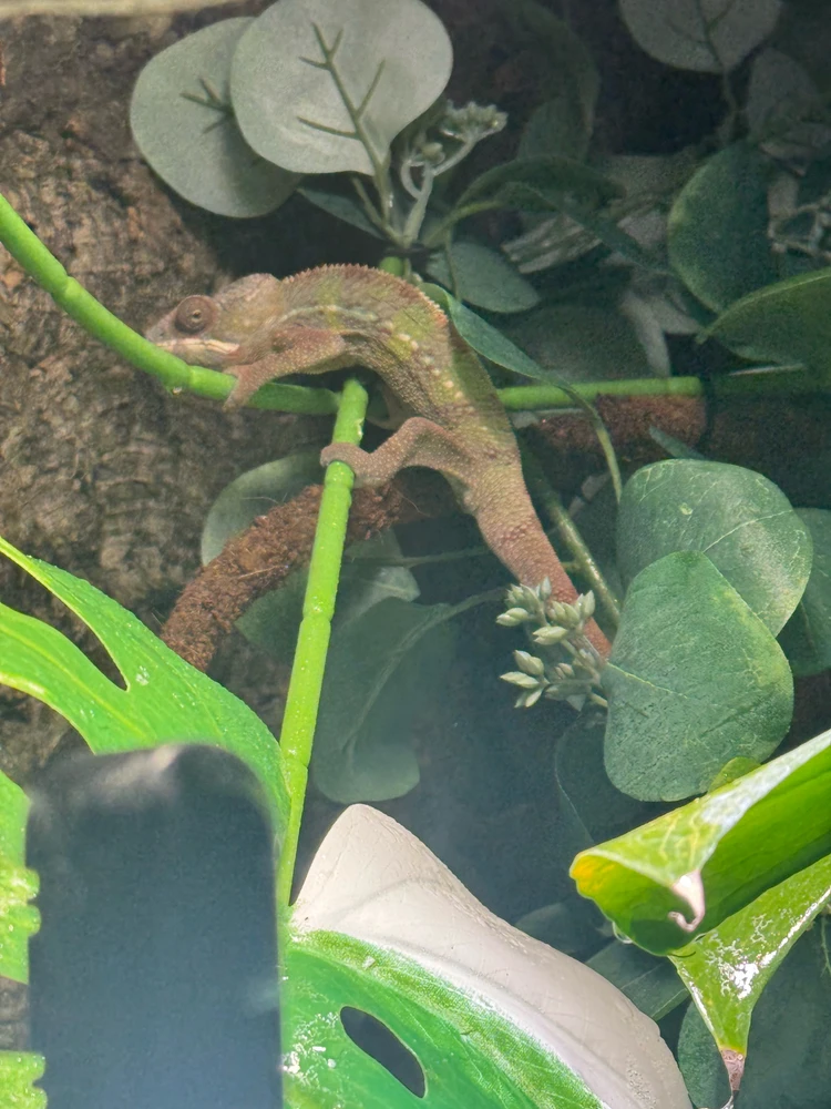 Bild hochgeladen von Marcel