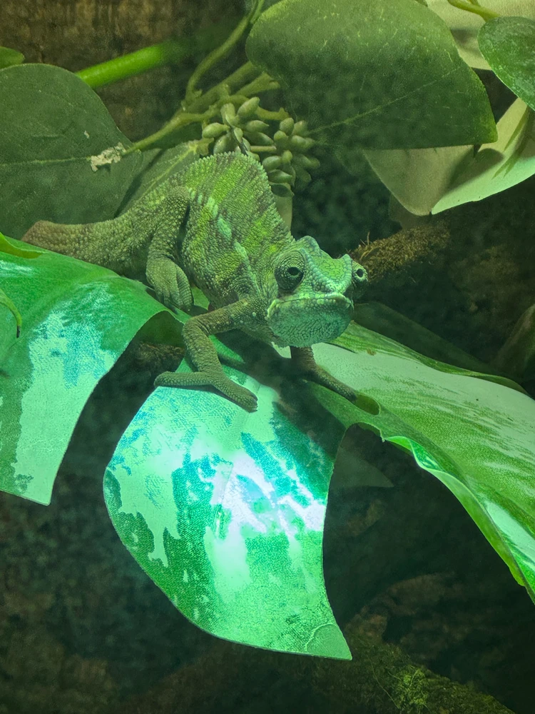 Bild hochgeladen von Marcel