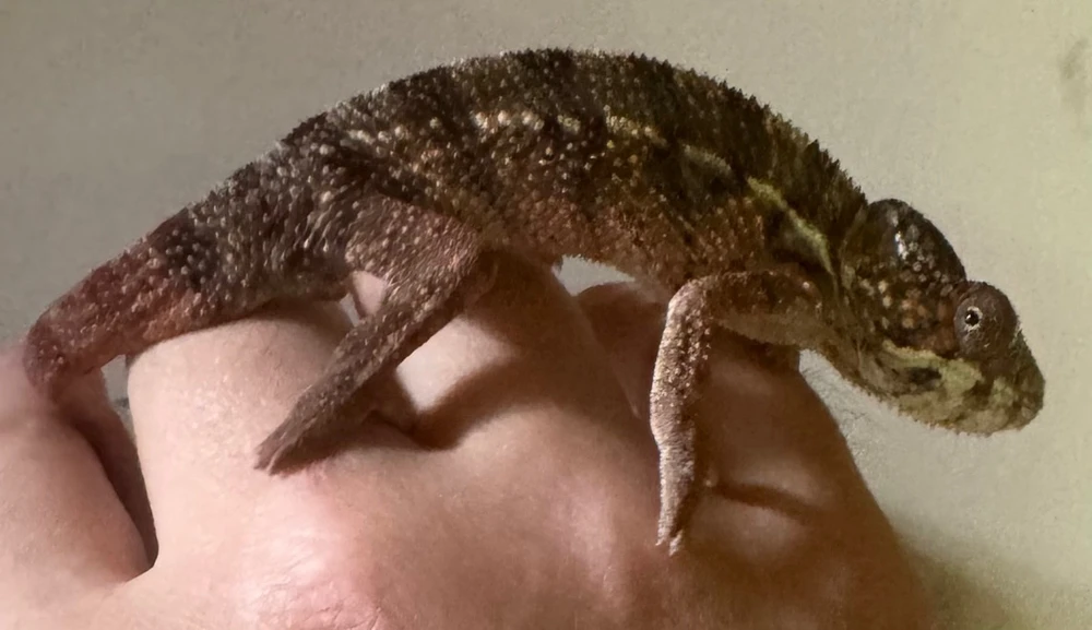 Bild hochgeladen von Marcel