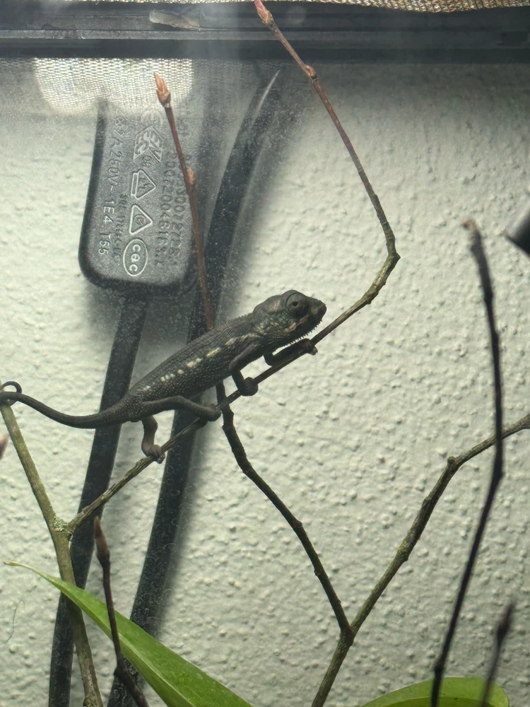 Bild hochgeladen von Marcel