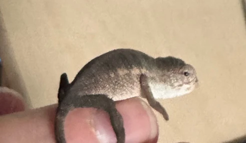 Bild hochgeladen von Marcel