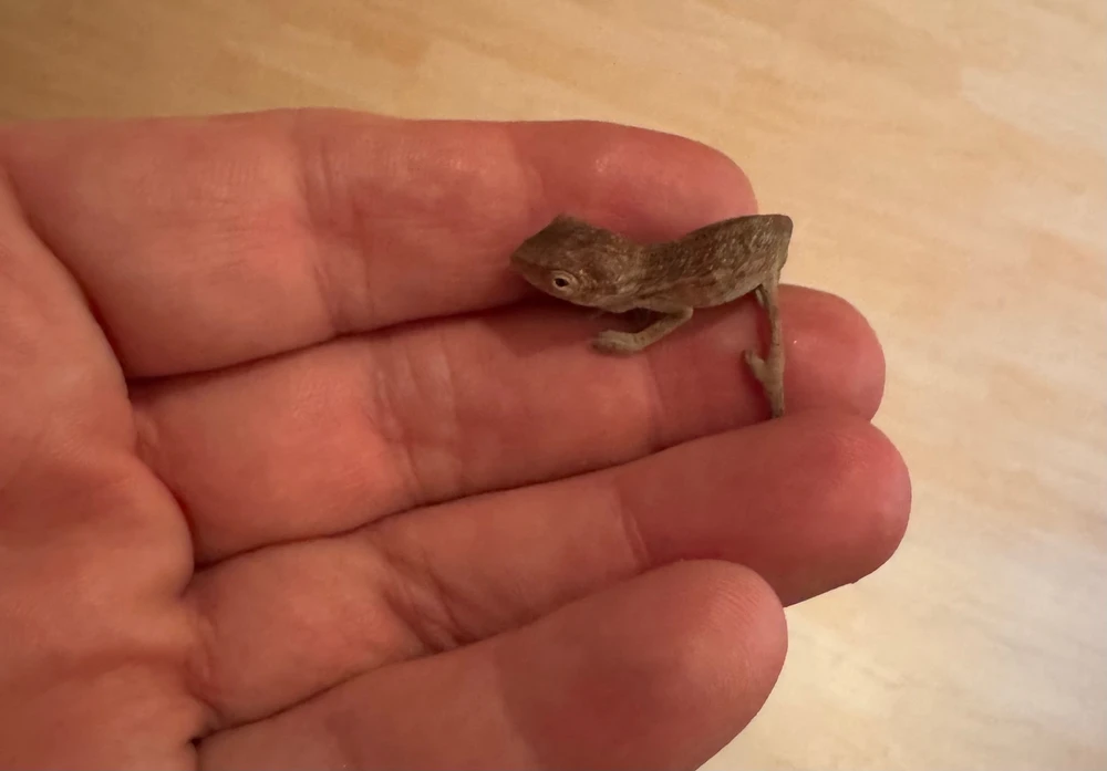 Bild hochgeladen von Marcel