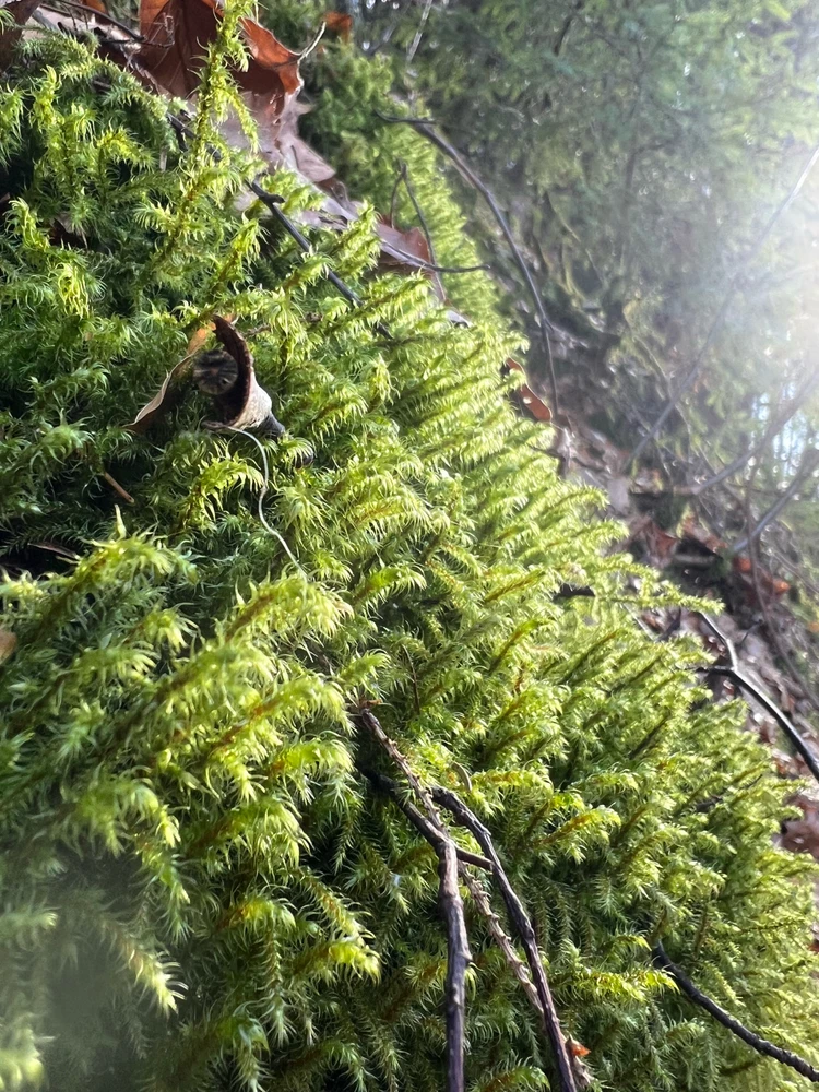 GIF uploaded by Lars