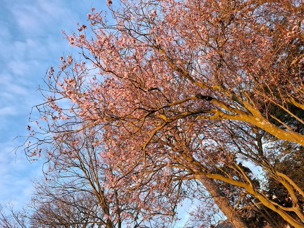 GIF uploaded by Matt