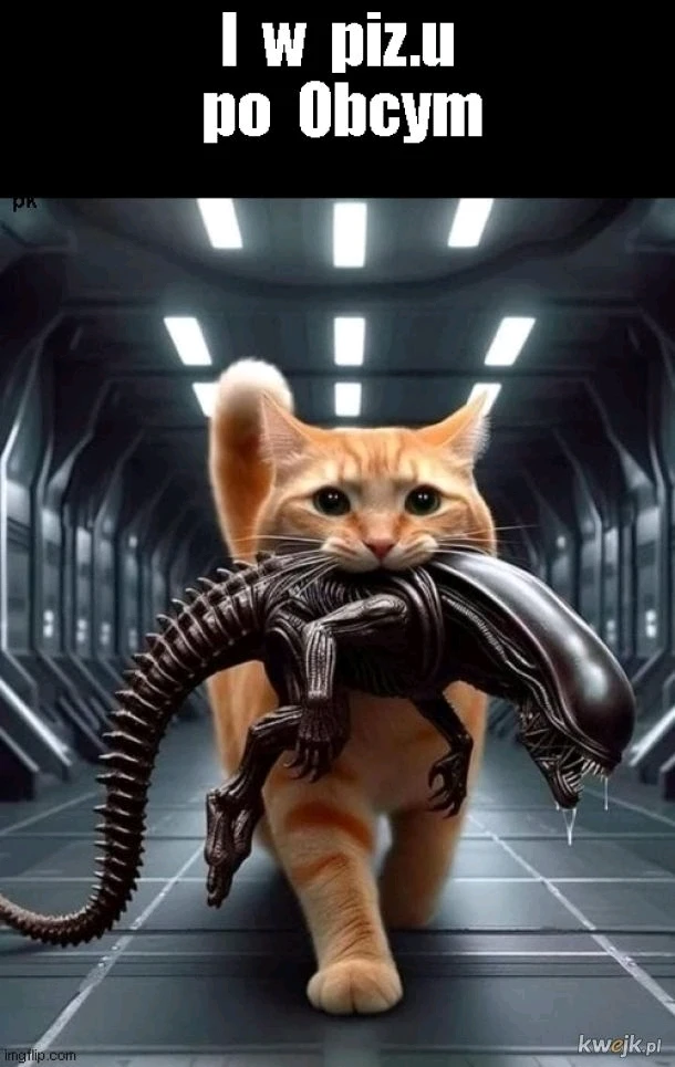 Zdjęcie dodane przez Damian