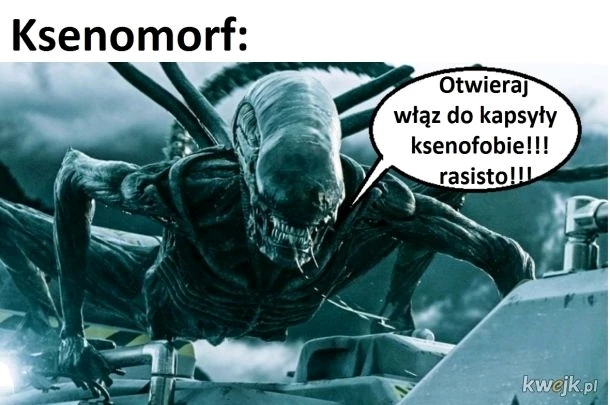 Zdjęcie dodane przez Damian