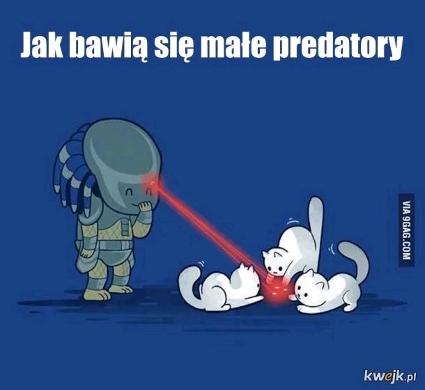 Zdjęcie dodane przez Damian